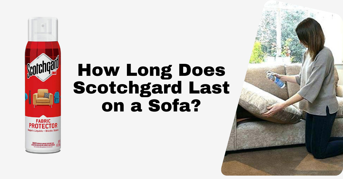 How Long Does Scotchgard Last on a Sofa? Expert Insights