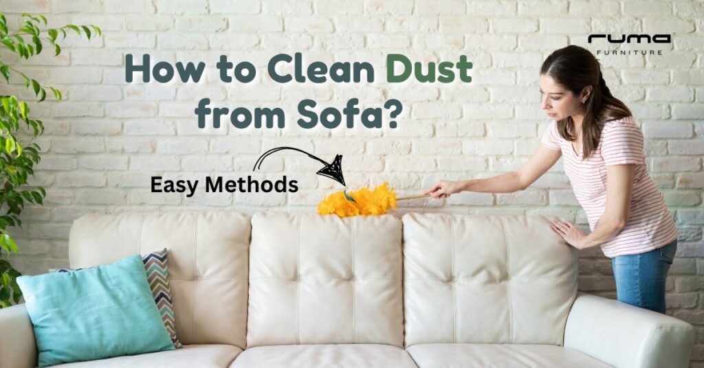 How to Clean Dust from Sofa?