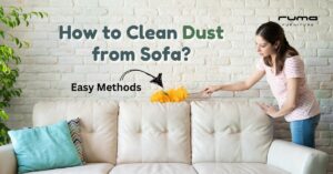 How to Clean Dust from Sofa?