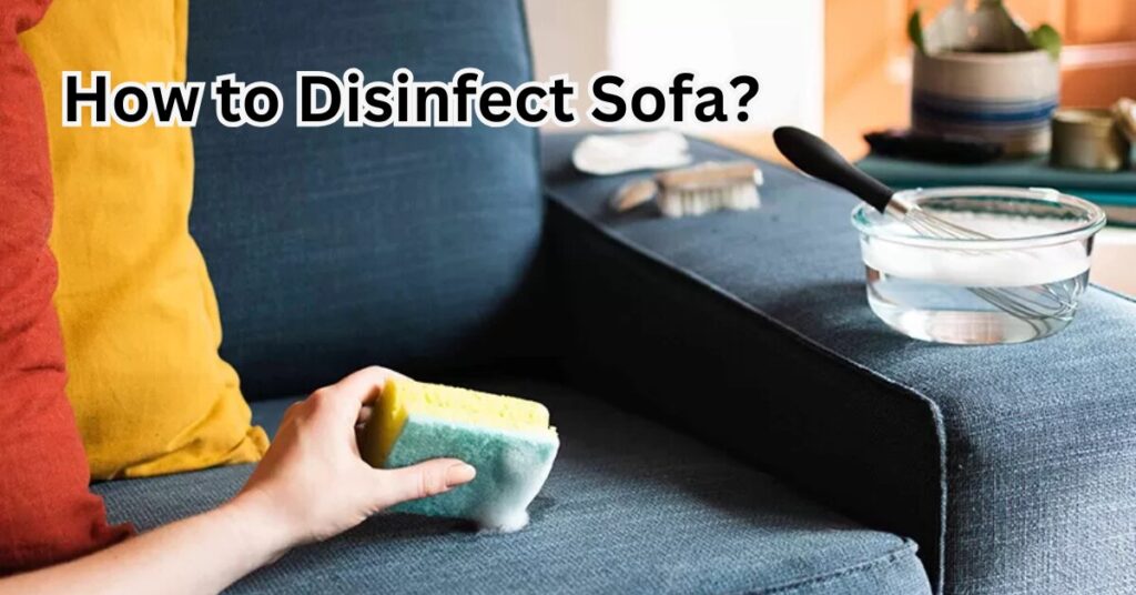 How to Disinfect Sofa